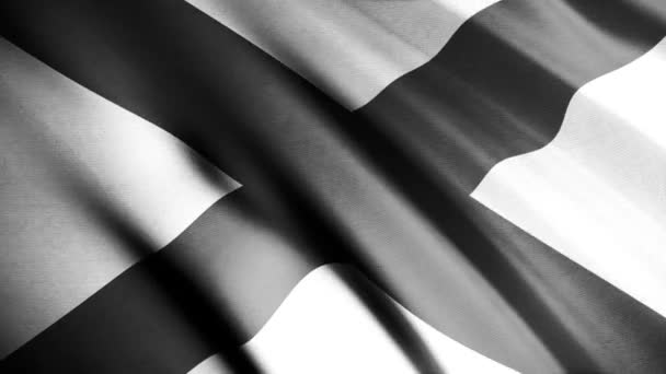 Close up of black and white Alabama waving flag, one of the states of America, seamless loop. Animation. Abstract flag fabric texture with ripples, monochrome. — Stock Video