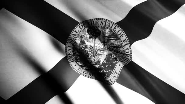 Florida realistische zwart-wit vlag textuur met rimpelingen, Verenigde Staten van Amerika, naadloze lus. Animatie. Close-up van de abstracte fladderende textuur van de vlag, monochroom. — Stockvideo