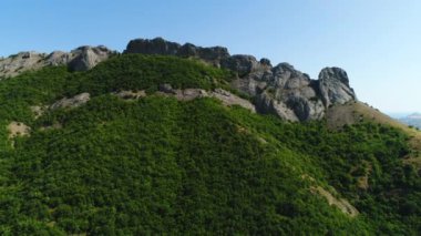 Yazın taze yeşil renklerinde, güzel karışık ormanın güneşli yamaçlarının havadan görünüşü. Vuruldu. Ormancılık, doğa ve mevsimler konsepti, inanılmaz dağ zirvesi..