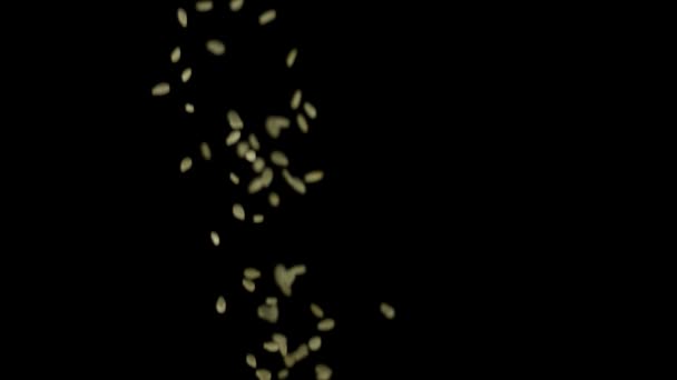 Semi di sesamo di colore bianco che cadono in una direzione verso l'alto isolati su sfondo nero. Filmati delle scorte. Concetto di preparazione alimentare, semi di sesamo che volano verso l'alto . — Video Stock