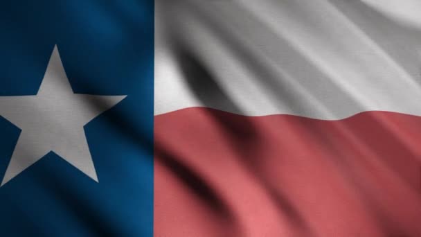 Realistisch Texas Verenigde Staten van Amerika staat vlag zwaaien in de wind, naadloze lus. Animatie. Zeer gedetailleerde weefsel textuur van de vlag met een ster. — Stockvideo