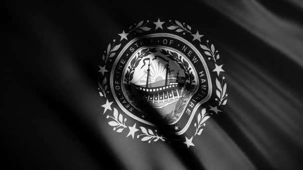 New Hampshire, Staatsflagge in Amerika, abstrakter Stoff, der im Wind weht, monochrom. Animation. realistische Fahne als Hintergrund mit vielen fließenden Wellen, nahtlose Schleife. — Stockvideo