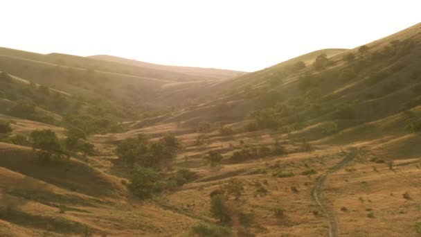 Gouden landschap van de berghelling met groeiende groene bomen op een heldere hemel achtergrond. Neergeschoten. Vliegen boven heuvels onder zonsondergang licht. — Stockvideo