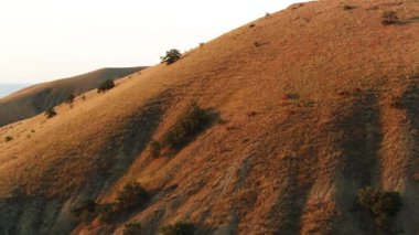 Otlak topraklar ve tepeler, gün batımından gelen altın ışık ve gölgelerle çevrili. Vuruldu. Atlar bulutlu arka planda dağda otluyor..