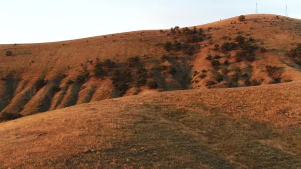 Flygfoto av bergssluttning täckt av gräs och sällsynta träd på blå himmel bakgrund. Skjuten. Vackra kullar under solnedgången ljus, naturens skönhet. — Stockvideo