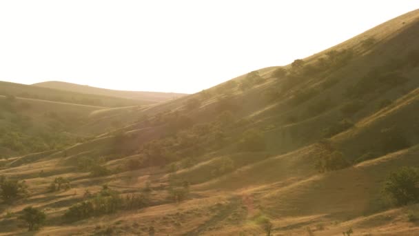 Złoty krajobraz zbocza górskiego z rosnącymi zielonymi drzewami na jasnym tle nieba. Postrzelony. Latanie nad wzgórzami pod wieczornym światłem zachodu słońca. — Wideo stockowe