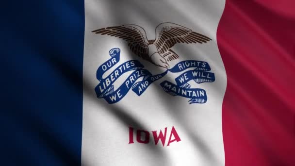 Iowa bayrağını sallamaya yakın çekim. Animasyon. Kırmızı, beyaz ve mavi dikey çizgileri ve kartal görüntüsüyle rüzgarda dalgalanan bayraklı animasyon arka planı. Amerika Birleşik Devletleri Bayrakları — Stok video