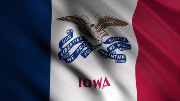 Close-up of waving Iowa flag. Animation. Animated background with flag waving in wind with red, white and blue vertical stripes and image of eagle. Flags of States of America