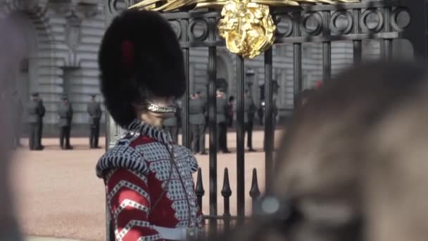 Close-up view of the royal guard soldier in traditional uniform standing near the gate into Buckingham Palace, London, Great Britain. Action. Detail of Queens Soldier — Vídeos de Stock