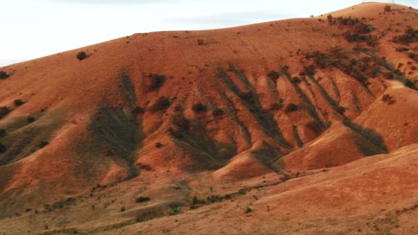 Beautiful view of red hills covered with shrubs against the clear blue sky in sunny day. Shot. Amazing colorful landscape — Αρχείο Βίντεο