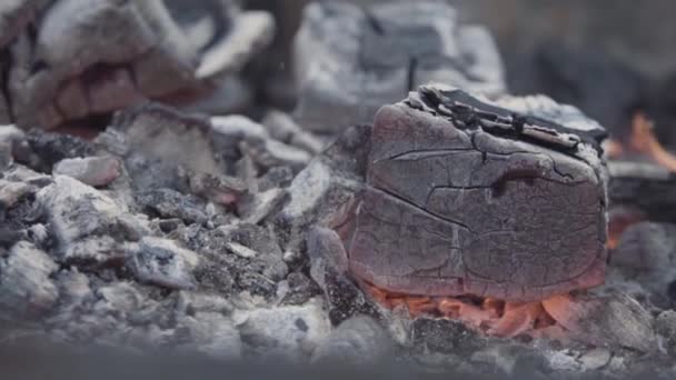 Feche para belas peças de madeira queimada pronto para churrasco. Acção. Grandes pedaços de madeira queimam com chama amarela vermelha entre pedaços de brasas e cinzas . — Vídeo de Stock