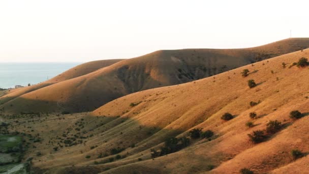 Aerial dari bukit-bukit emas ditutupi oleh semak-semak hijau yang terletak oleh laut di latar langit berawan. Tertembak. Terbang di atas lembah emas di bawah cahaya matahari terbenam . — Stok Video