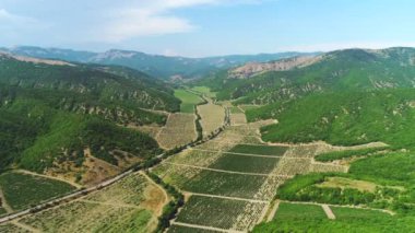 Aerial view of farm fields surrounded by high mountains covered with green trees and shrubs in summer sunny day against blue sky. Shot. Beautiful view from above
