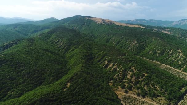 Fantastisk flygutsikt över spektakulära djungler, Hawaii, skönheten i naturen koncept. Skjuten. Flyg ovanför gröna skogsklädda berg på blå molnig himmel bakgrund. — Stockvideo