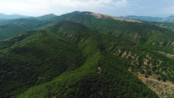 Lélegzetelállító táj zöld erdős hegyek kék felhős ég háttér. Lelőtték. Levegő csodálatos zöld dombok borított fák. — Stock videók