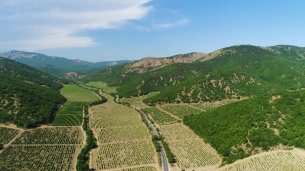 Vue aérienne de beaux champs agricoles avec des plantes en croissance sur fond de ciel nuageux bleu. Fusillade. Voler au-dessus des montagnes boisées verdoyantes près de la route et des champs .
