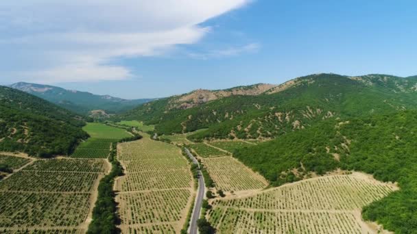 Vue aérienne de beaux champs agricoles avec des plantes en croissance sur fond de ciel nuageux bleu. Fusillade. Voler au-dessus des montagnes boisées verdoyantes près de la route et des champs .