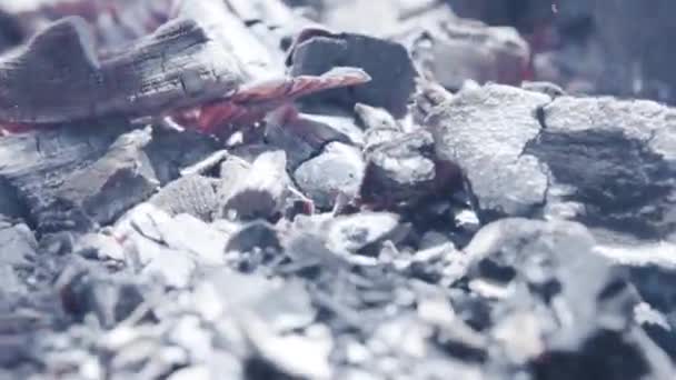 Detailní záběr hořícího dřevěného uhlí. Záběry ze skladu. Uhlí a plamen na grilu. Zavřít uhelné uhlí v grilu — Stock video