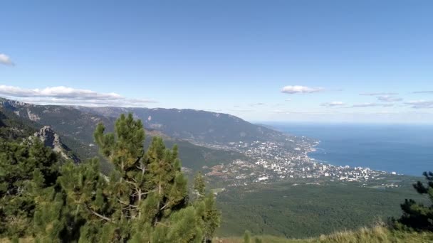 Vedere aeriană a unui oraș în apropierea plajei, munților și a pajiștilor verzi, paradisului. Împuşcat. Marea și orizontul de la un munte înalt, cu o iarbă verde și pini în creștere pe vârful său . — Videoclip de stoc