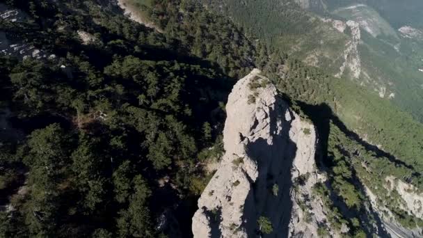 Les montagnes et les falaises couvertes de forêt verte. Fusillade. Pins sur les pentes de la montagne avec un rocher géant sous la lumière du soleil . — Video