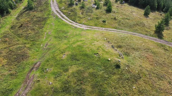 Blick von oben auf den grünen Graswald außerhalb der Stadt. Filmmaterial. schöner Sommer Blick auf die grüne Wiese — Stockfoto