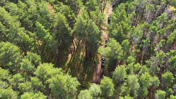 Η ομάδα ταξιδεύει με Atvs και Utvs για τη φύση. Πλάνα. Κάτοψη των ανθρώπων ιππασίας Quad ποδήλατα στη φύση — Φωτογραφία Αρχείου