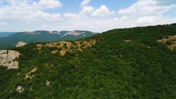 青空に緑の熱帯雨林に覆われた山々が背景に雲と素晴らしい風景。撃たれたインドネシアの木や緑の芝生と丘陵地帯の空中ビュー. — ストック動画