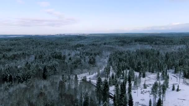 Vista aérea de los bosques de invierno durante un vuelo en un día helado. Moción. La vista del bosque de invierno cubierto de nieve en las alturas del vuelo del pájaro . — Vídeos de Stock