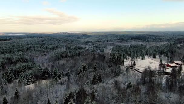 Vista dall'alto della foresta in inverno in una giornata soleggiata. Mozione. Vista incredibile della bellissima foresta invernale — Video Stock