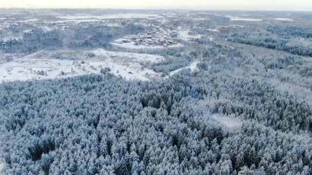 Vista superior del bosque en invierno en un día soleado. Moción. Ciudad en la zona forestal — Vídeos de Stock