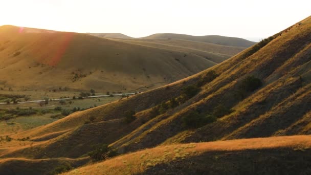 Vue panoramique avec des chevaux broutant dans la prairie à flanc de colline. Fusillade. Vue du dessus des chevaux de pâturage sur la pente — Video