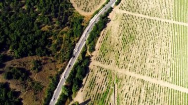 Tarımsal tarlalar boyunca otobanın üst görüntüsü. Vuruldu. Kavurucu güneşin altında tahıl kültürü geliştirdim.