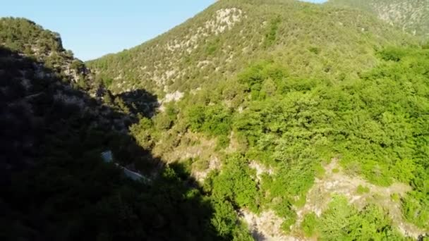 Vue aérienne de la forêt dans une région montagneuse. Fusillade. Nettoyer belle forêt verte par une journée ensoleillée 