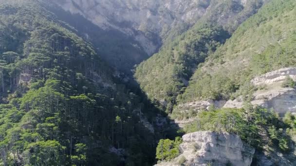 Ormandaki kayalık arazi. Vuruldu. Güneşli bir günde üzerinde yeşil ağaçlar olan kayaların güzel manzarası. — Stok video
