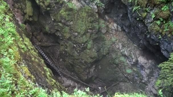 Top view of the the dangerous trail inside the deep gorge. Stock footage. Aerial of natural background of green forest and the ravine. — Stock Video