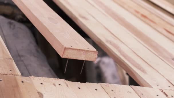 Primer plano de un hombre quitando tablón de madera clavado usando martillo para desmantelar el techo de una casa. Clip. Trabajos de carpintería con equipo profesional . — Vídeos de Stock