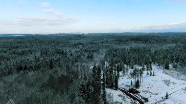 Mavi bulutlu arka planda karlı ağaçlarla çevrili iki yalnız evin bulunduğu kış ormanı üzerinde hava manzarası. Hareket. Soğuk havada çam ağaçlarının üzerinde uçuyor.