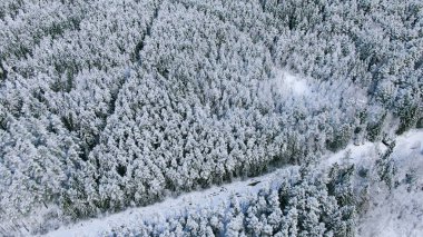 Kış ormanı boyunca yol, üst hava manzarası. Hareket. Çam ağacı ormanının nefes kesici manzarası karla ve kırsal dar yollarla kaplı..