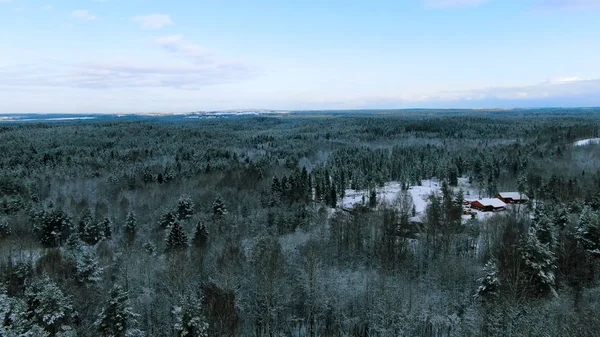 Luftaufnahme über den Winterwald mit zwei einsamen Häusern, umgeben von schneebedeckten Bäumen auf blauem wolkenverhangenem Himmel. Bewegung. Bei kaltem Wetter über Kiefernwald fliegen. — Stockfoto