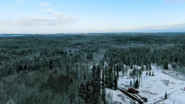 Luftaufnahme über den Winterwald mit zwei einsamen Häusern, umgeben von schneebedeckten Bäumen auf blauem wolkenverhangenem Himmel. Bewegung. Bei kaltem Wetter über Kiefernwald fliegen. — Stockfoto