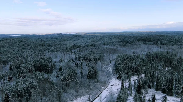 Luchtfoto van winterwouden tijdens een vlucht op ijzige dag. Beweging. Het uitzicht op het winterwoud bedekt met sneeuw op hoogten van de vogelvlucht. — Stockfoto