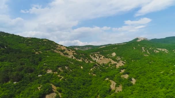 Vista superior del valle de la montaña con exuberante vegetación verde sobre el fondo del cielo azul. Le dispararon. Pintoresco paisaje de verano de montañas verdes — Vídeo de stock