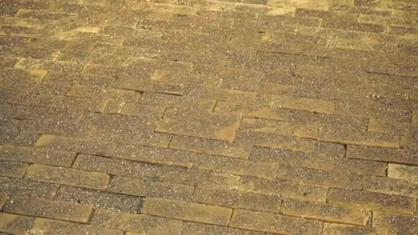 Old brown pavement floor background. Stock footage. Stony foot path covered by shining sand or paved road texture under the bright street lamp light. — Stock Video
