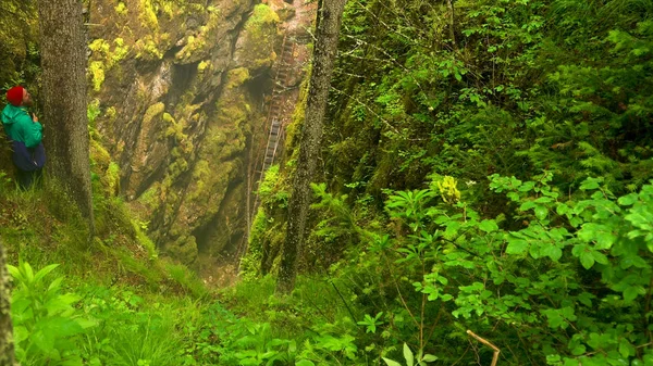 Vista superior de um caminhante olhando para baixo para a trilha perigosa dentro do desfiladeiro profundo. Imagens de stock. Fundo natural da floresta verde e da ravina . — Fotografia de Stock