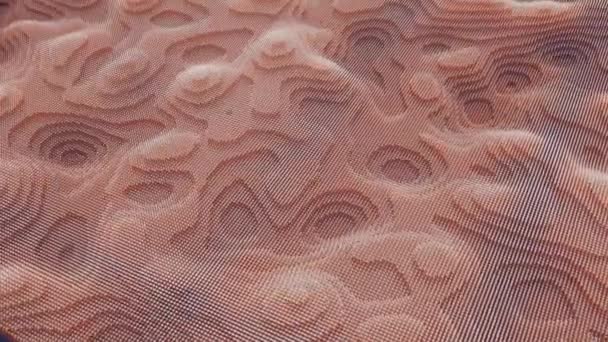 Movimento rosa claro abstrato da textura dos pontos ondulantes com partículas desfocadas brilhantes. Animação. Cibernético ou tecnologia de fundo digital com textura granulada, loop sem costura . — Vídeo de Stock