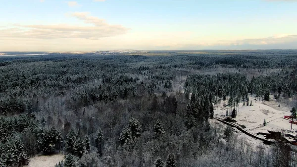 Blick von oben auf den Wald im Winter an einem sonnigen Tag. Bewegung. unglaubliche Aussicht auf den wunderschönen Winterwald — Stockfoto