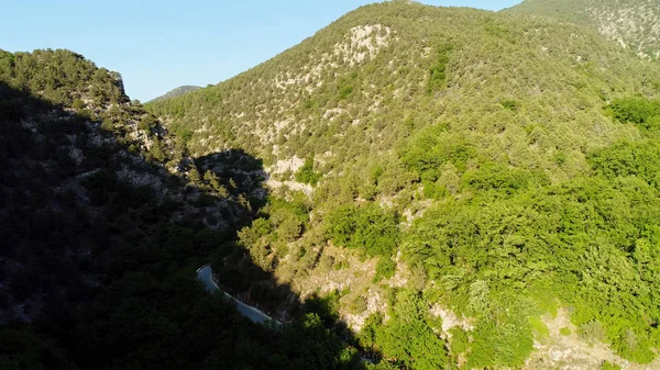 Vista aerea della foresta in una zona montuosa. Gli hanno sparato. Pulire bella foresta verde in una giornata di sole — Foto Stock