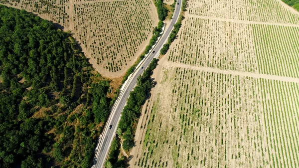 Widok z góry autostrady wzdłuż pól rolniczych. Postrzelony. Rozwinięta kultura zbożowa pod palącym słońcem — Zdjęcie stockowe