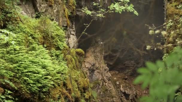 Drone volant à l'extérieur sur le fond de forêt verte d'été. Images d'archives. Quadcopter volant devant des rochers escarpés dans la forêt . — Video