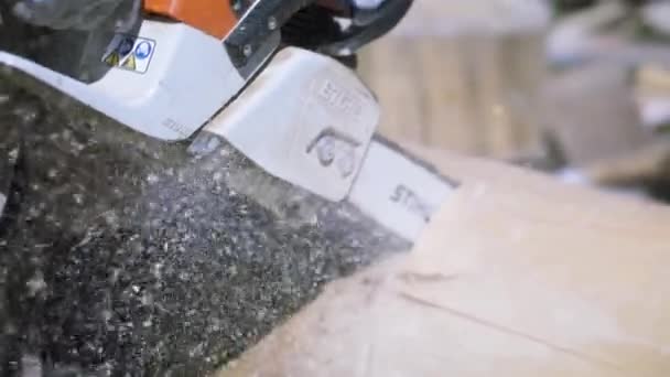 Woodcutter saws wooden log with chainsaw at the construction site. Clip. Close up of man is sawing a wooden log with an electric chain saw with dust flying into the sides. — Stock Video